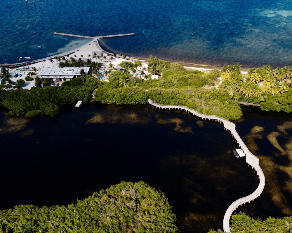 Land in Puerto Cancún